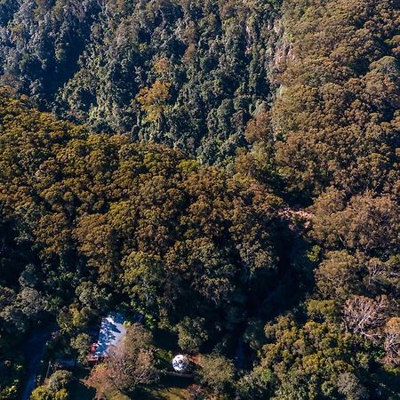 Purling Brook Falls Gwongorella Springbrook Esterno foto