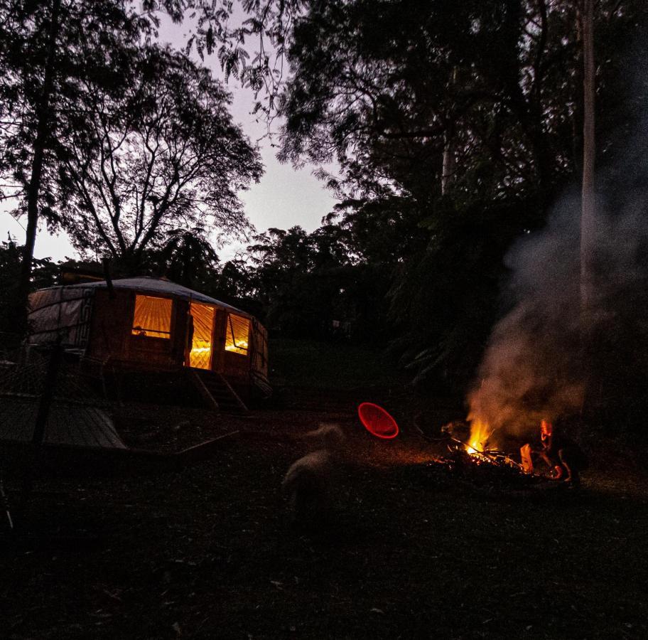 Hotel Purling Brook Falls Gwongorella Springbrook Esterno foto