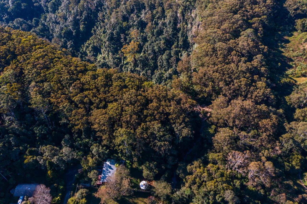 Hotel Purling Brook Falls Gwongorella Springbrook Esterno foto