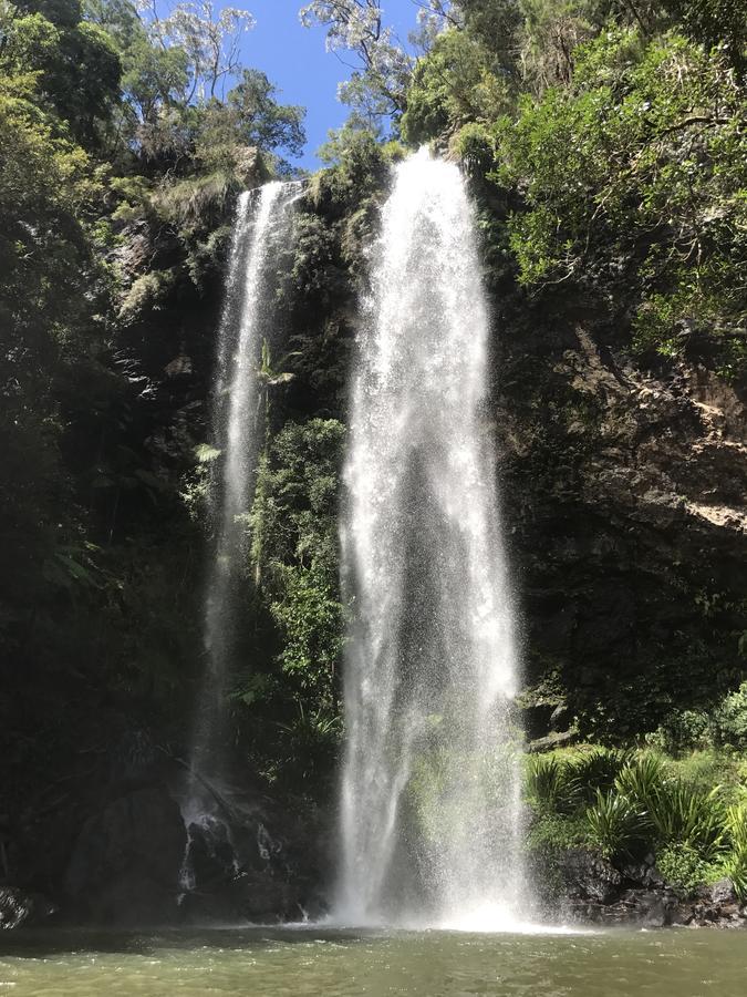 Purling Brook Falls Gwongorella Springbrook Esterno foto