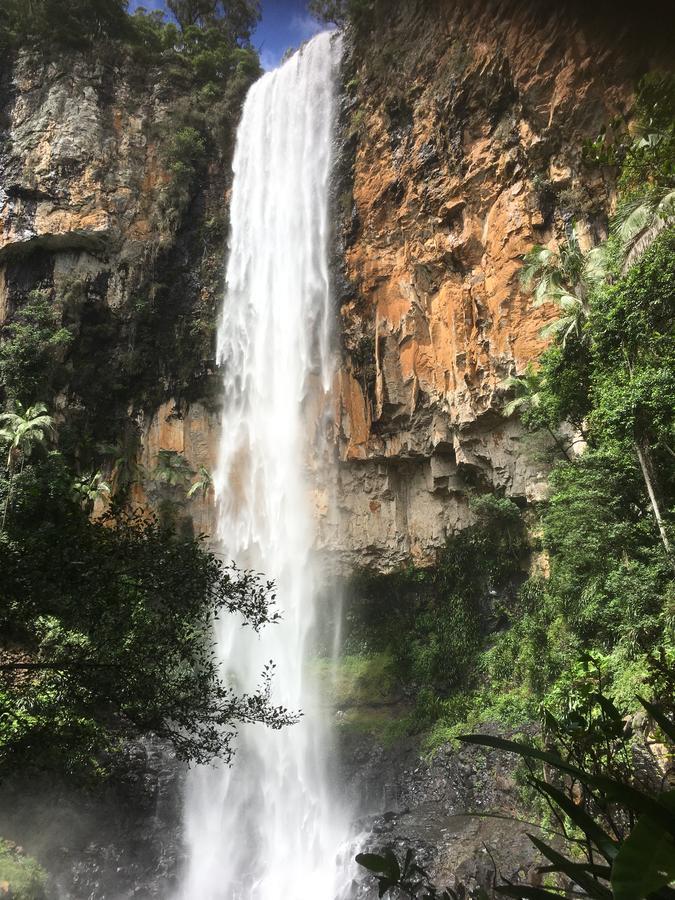 Purling Brook Falls Gwongorella Springbrook Esterno foto