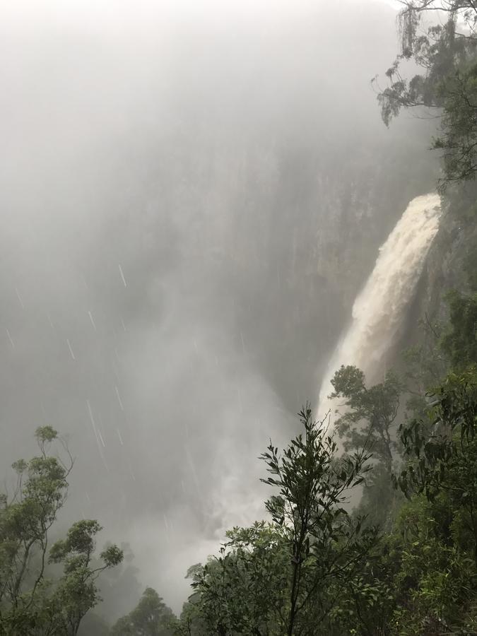 Hotel Purling Brook Falls Gwongorella Springbrook Esterno foto